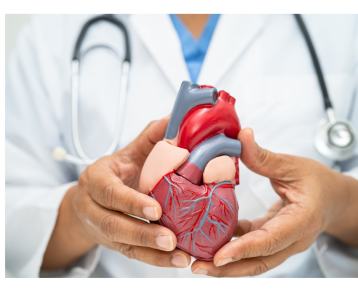 Πρόληψη καρδιαγγειακού κινδύνου